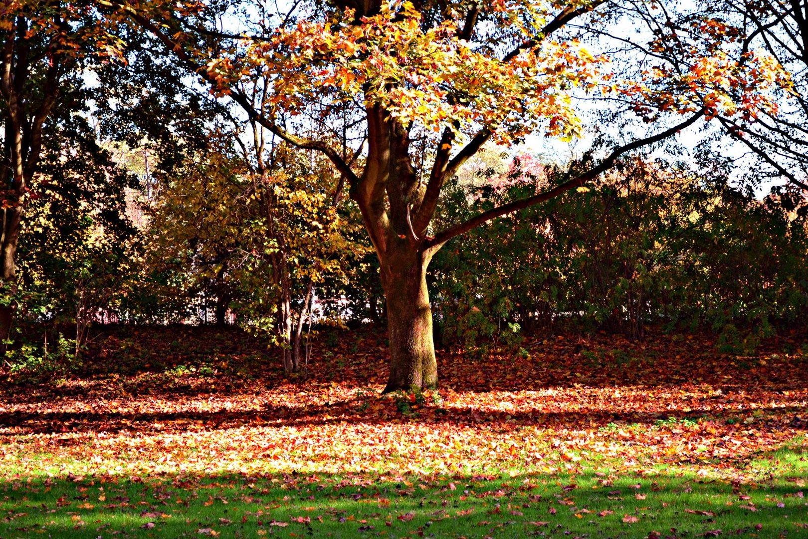 Herbsttag