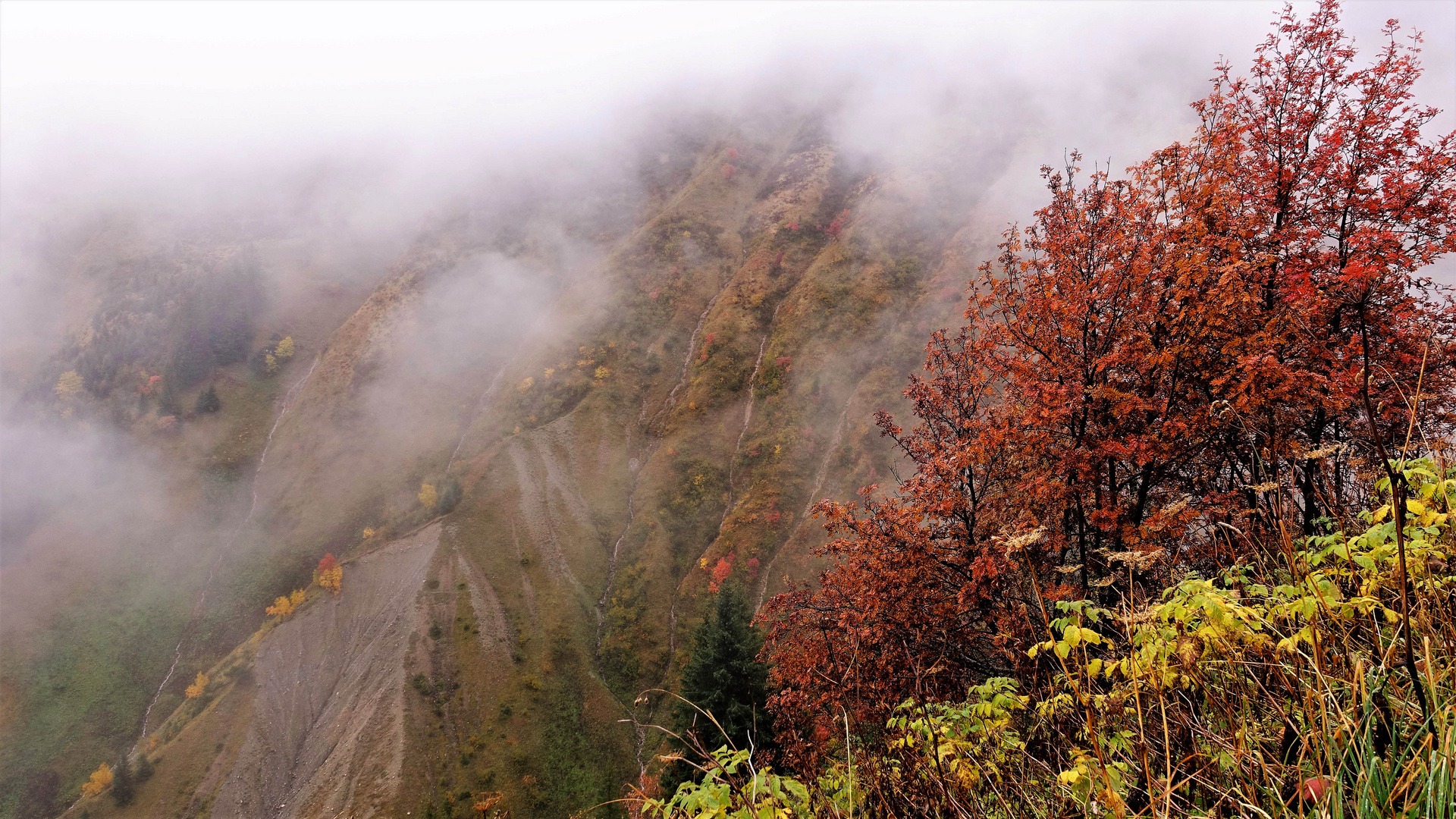 Herbsttag