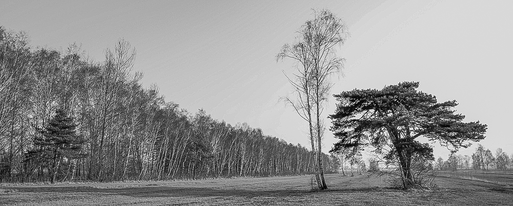 Herbsttag