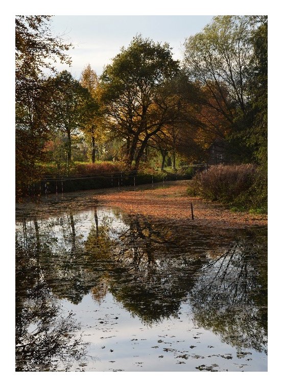 *herbsttag*