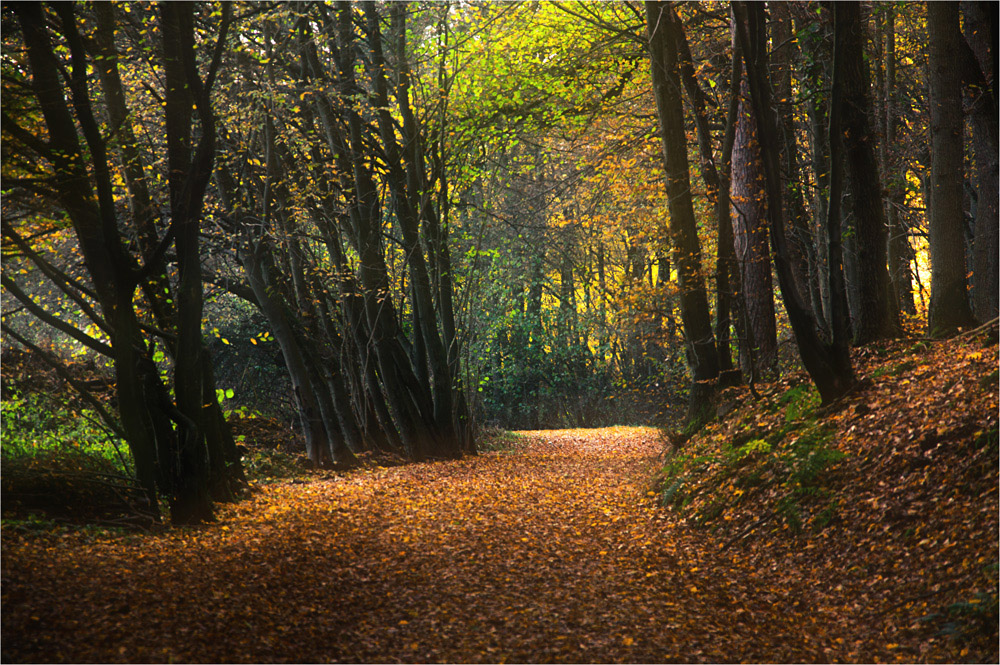 Herbsttag