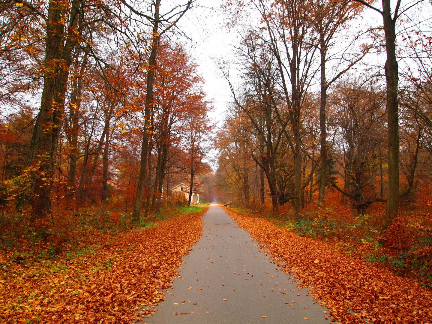 Herbsttag 2