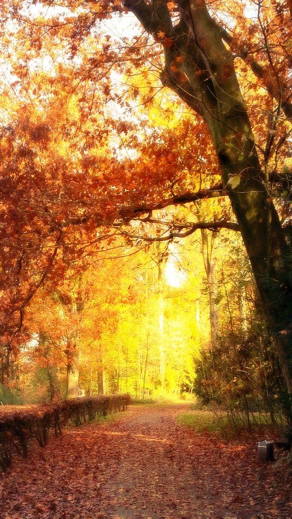 Herbsttag