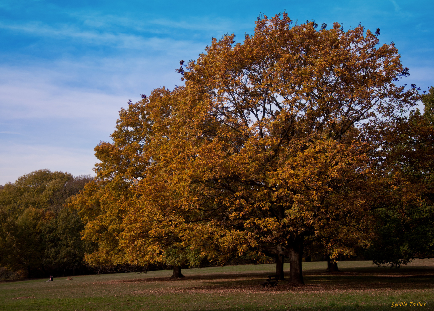 Herbsttag