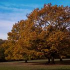 Herbsttag