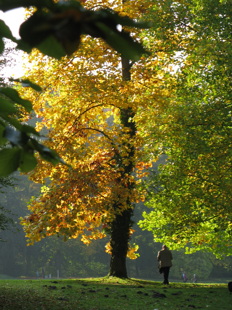 Herbsttag