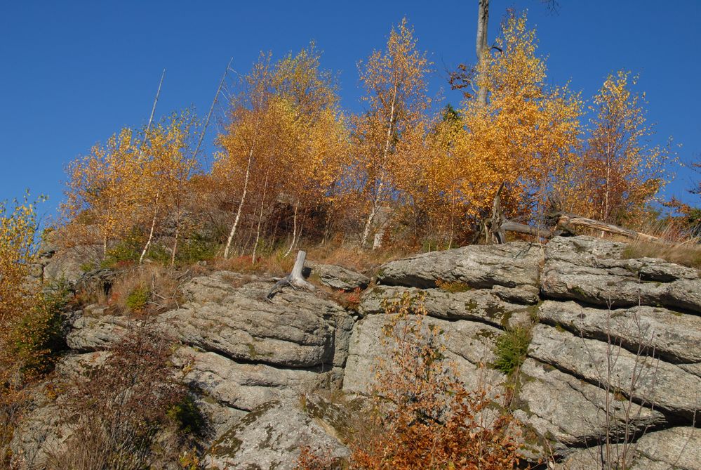 Herbsttag