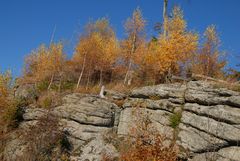 Herbsttag