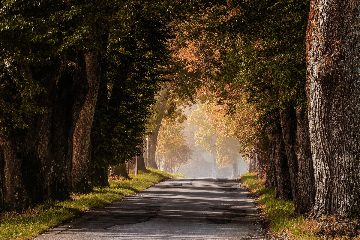 Herbsttag