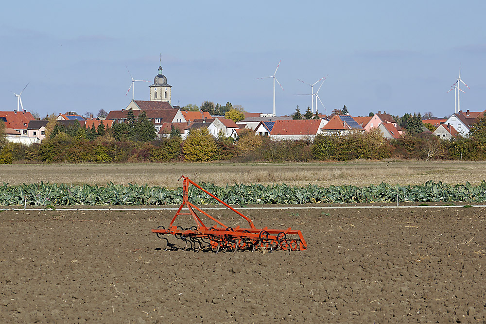 Herbsttag