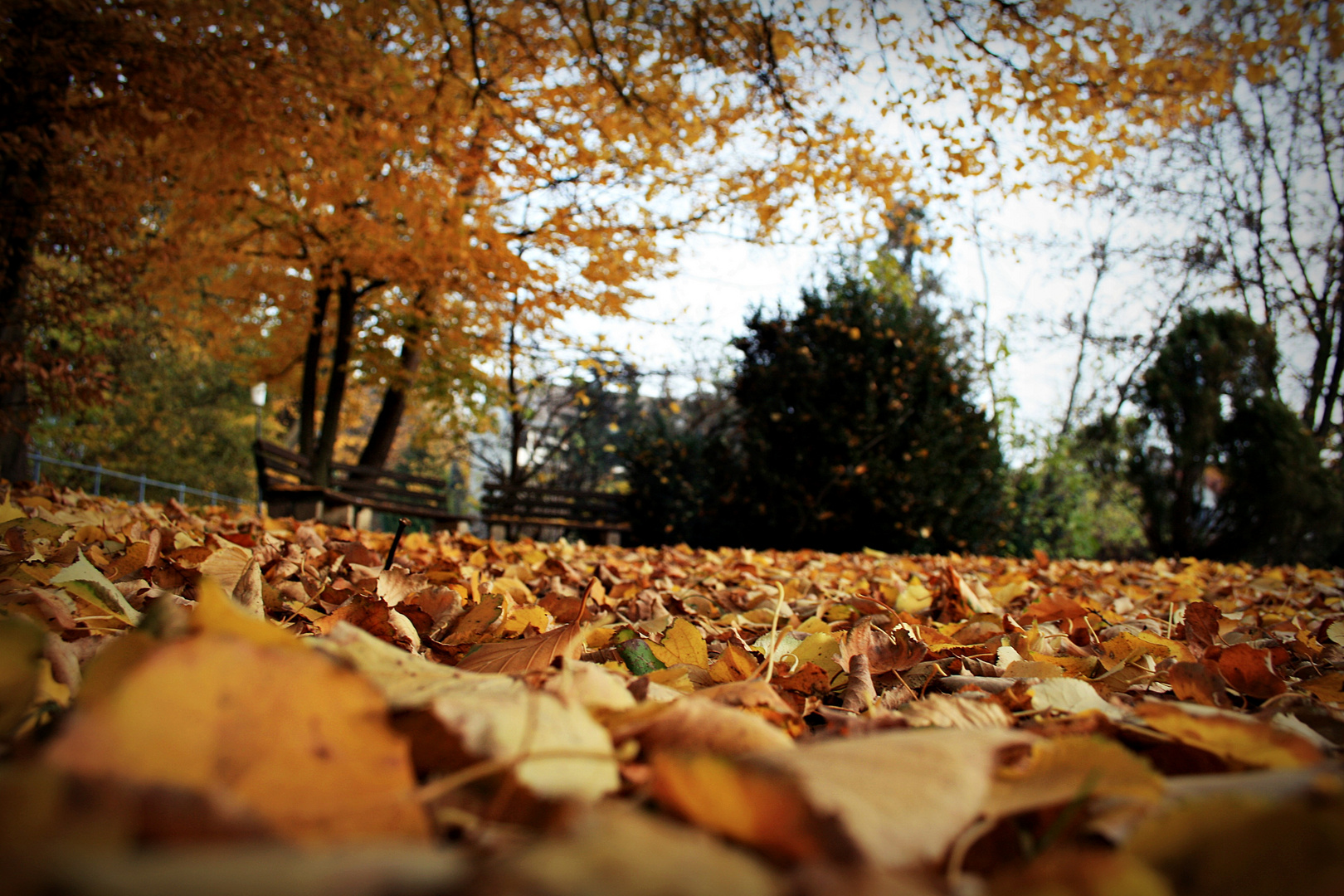 Herbsttag