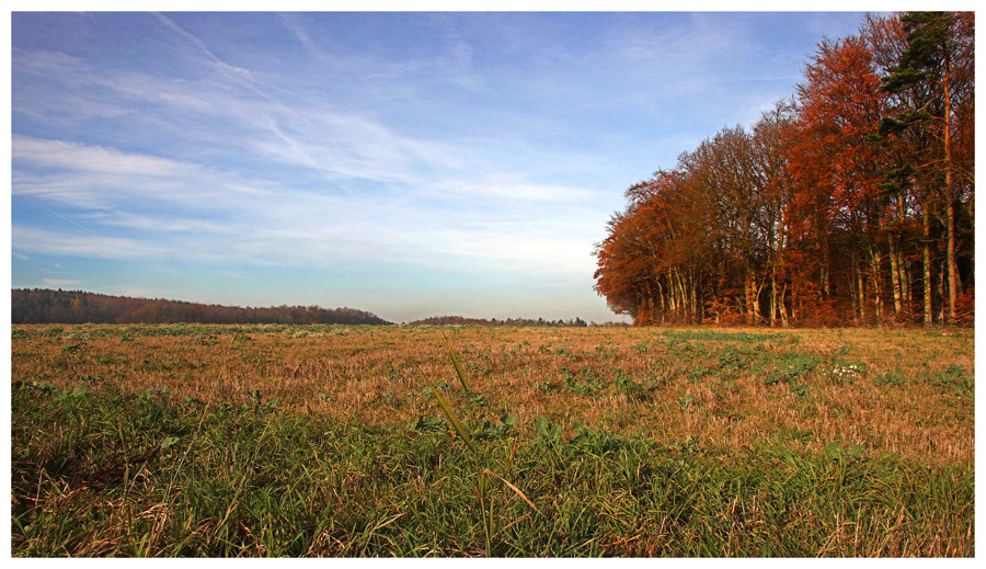 Herbsttag