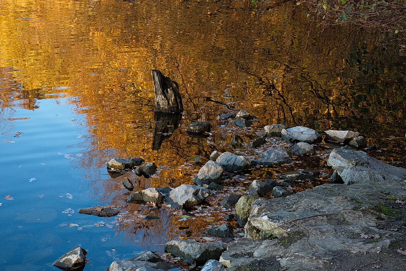 Herbsttag