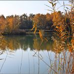 HERBSTTAG