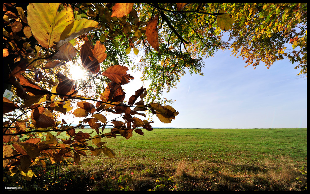 HERBSTTAG