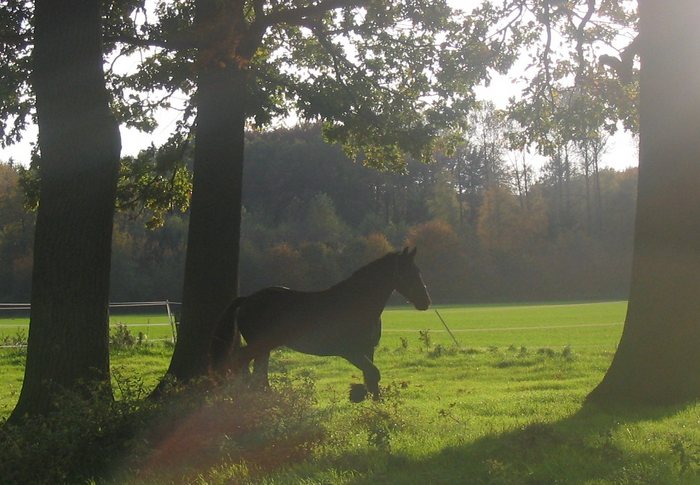 Herbsttag