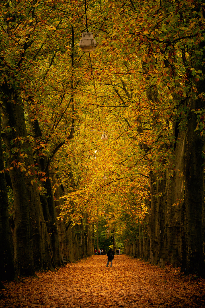 Herbsttag