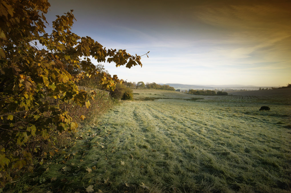 Herbsttag