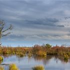 Herbsttag