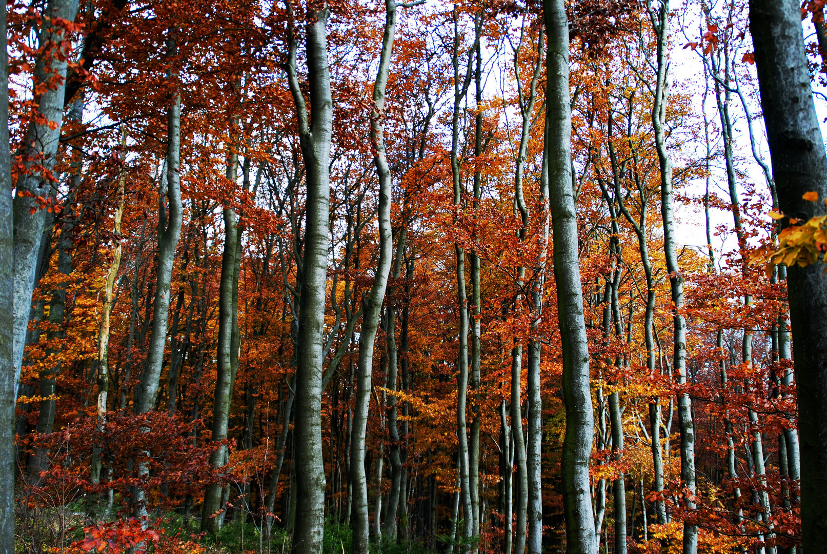 Herbsttag