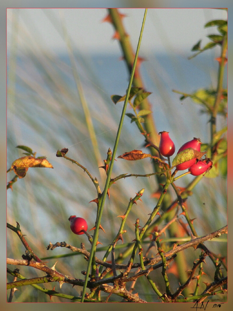 Herbsttag