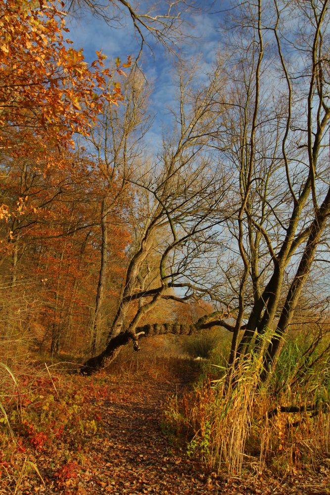 Herbsttag