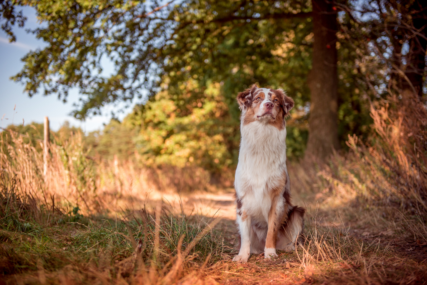 Herbsttag