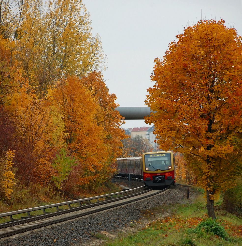 Herbsttag