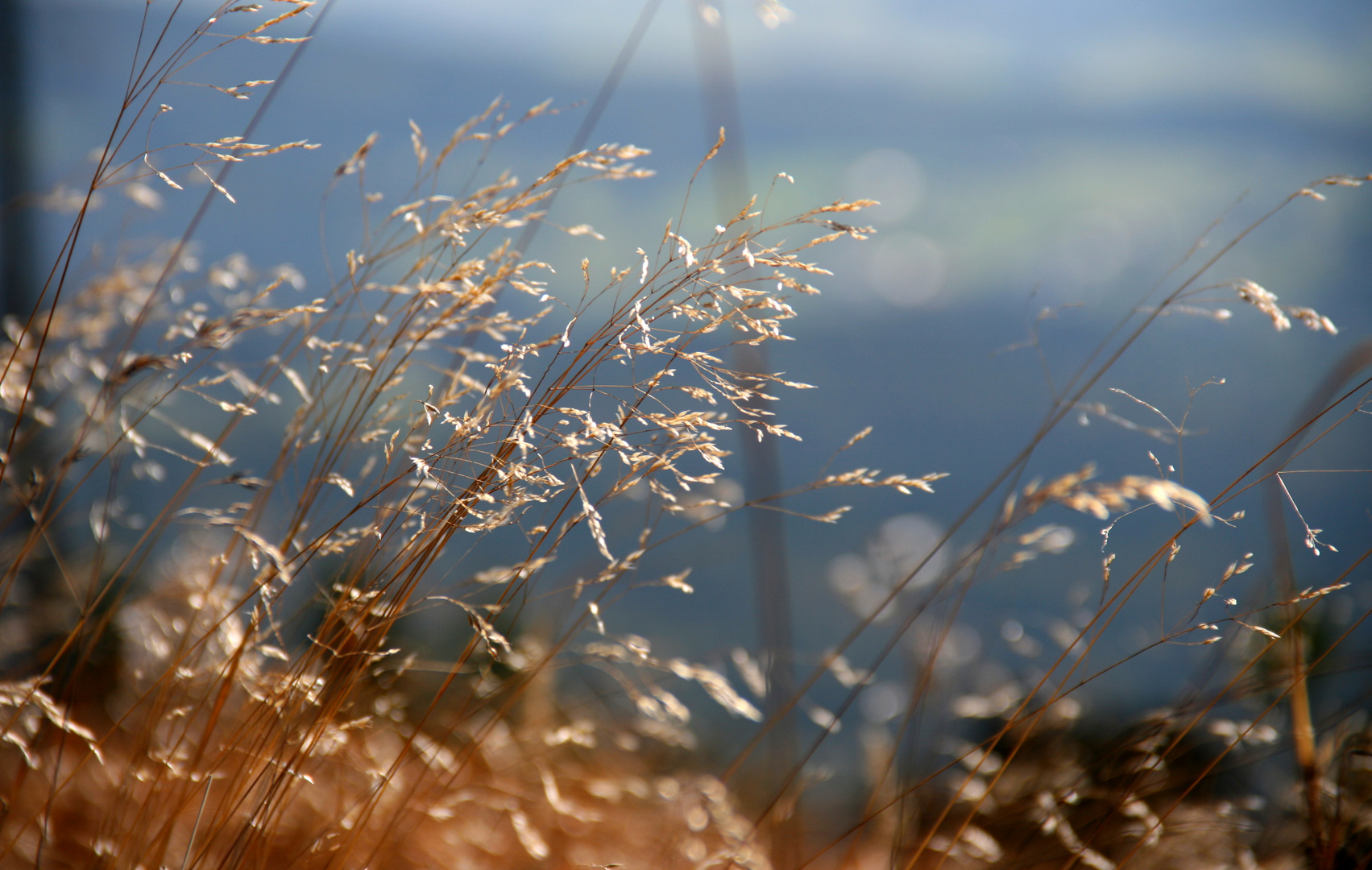 Herbsttag