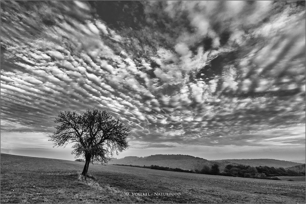 Herbsttag