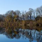 Herbsttag am Alten Rhein