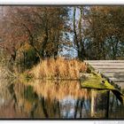 Herbsttag am Angelsee