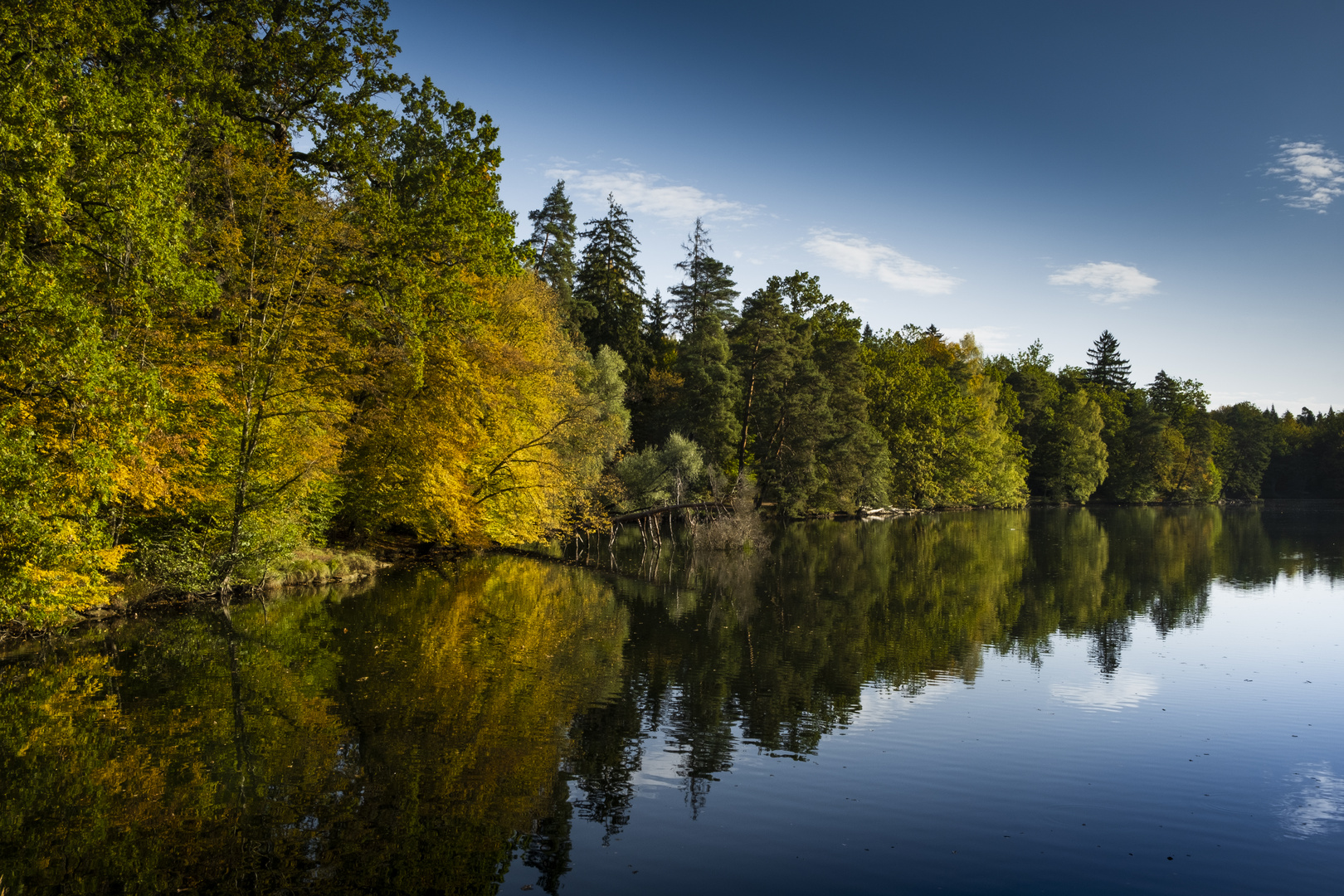 Herbsttag am Bärensee Stuttgart