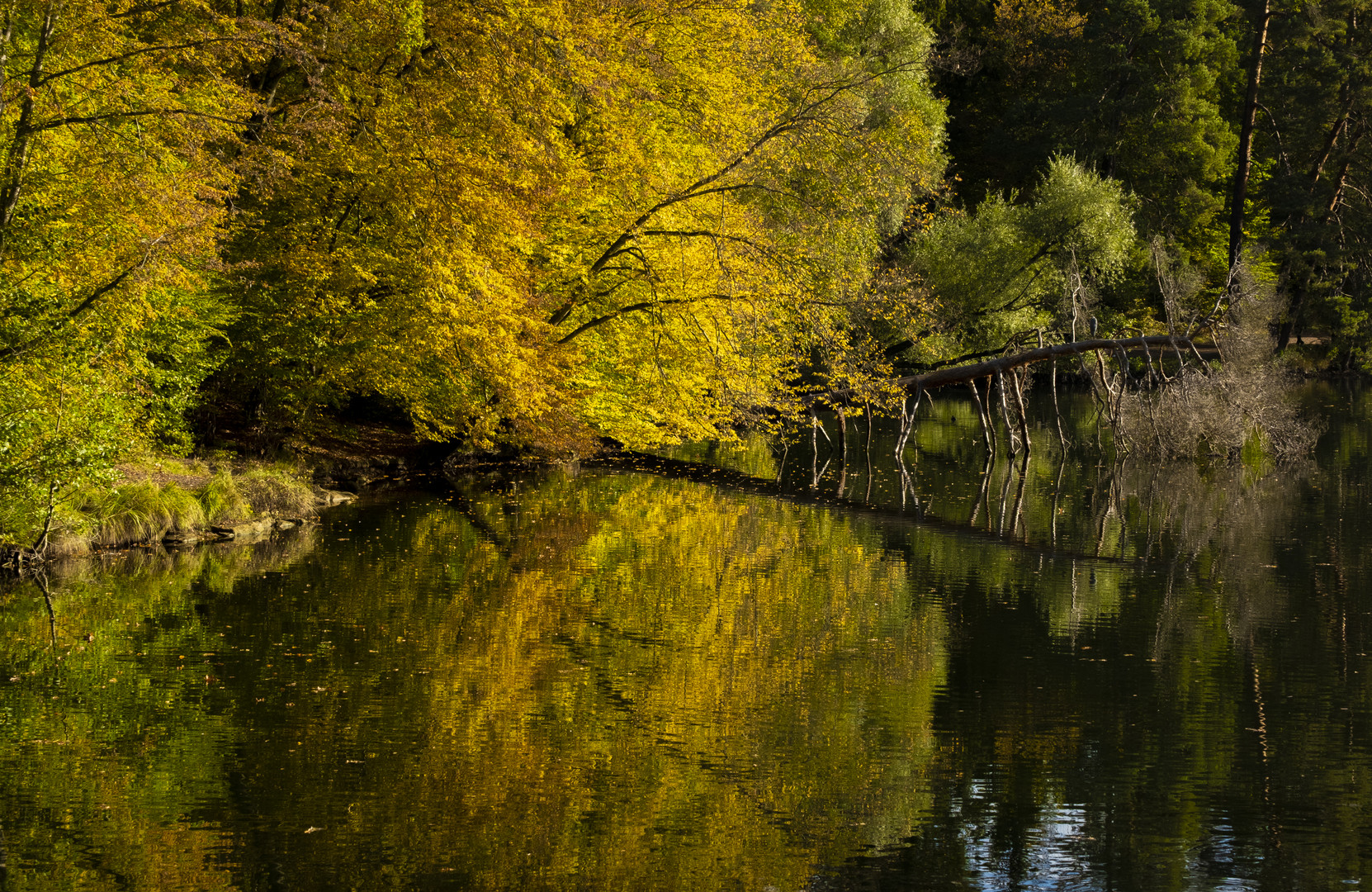 Herbsttag am Bärensee Stuttgart