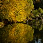 Herbsttag am Bärensee Stuttgart