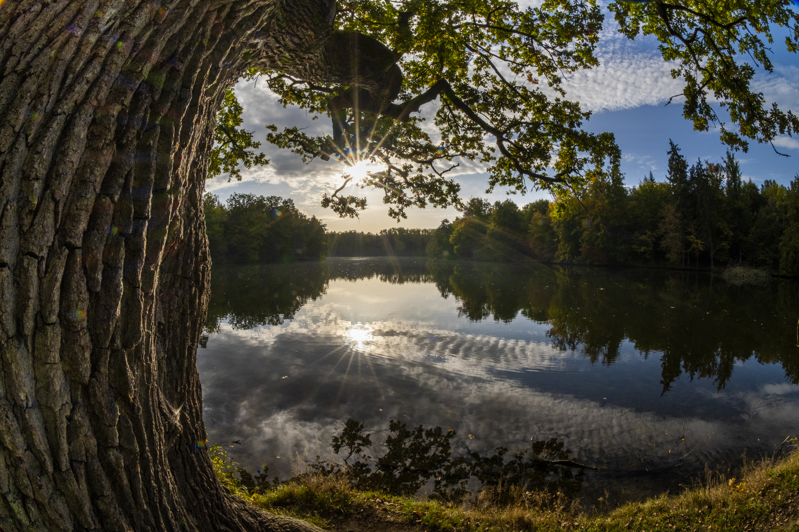 Herbsttag am Bärensee Stuttgart