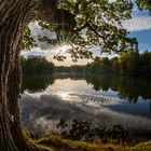 Herbsttag am Bärensee Stuttgart