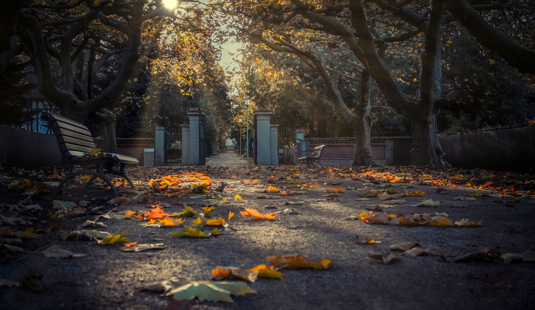 Herbsttag am Friedhof