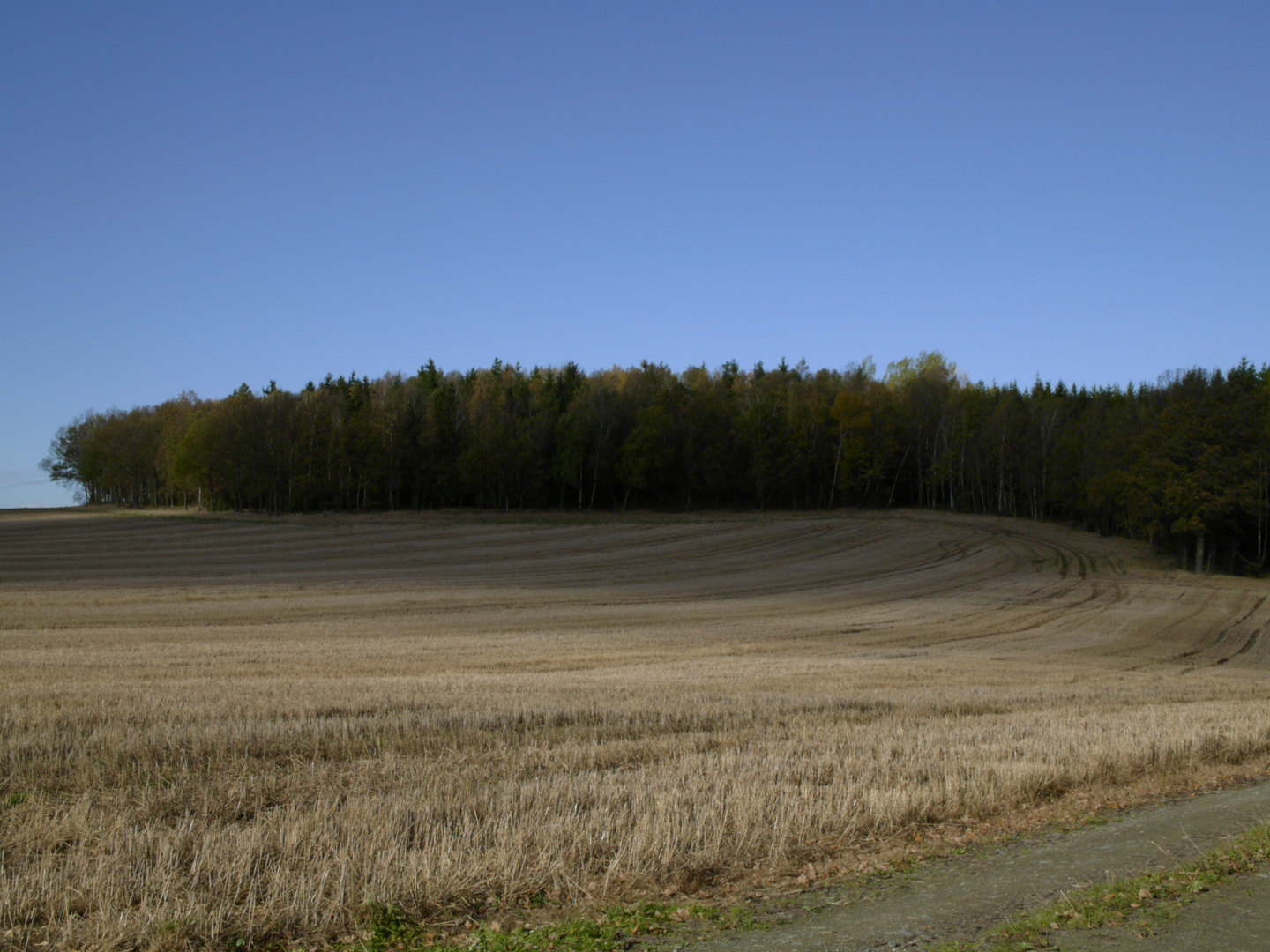 Herbsttag am Göltzschtal 2013