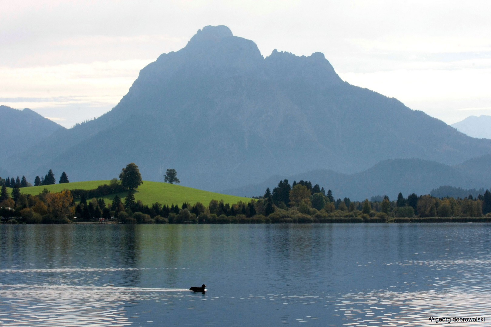 Herbsttag am Hopfensee