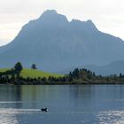 Herbsttag am Hopfensee