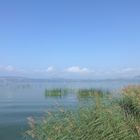 Herbsttag am idyllischen Murtensee, CH