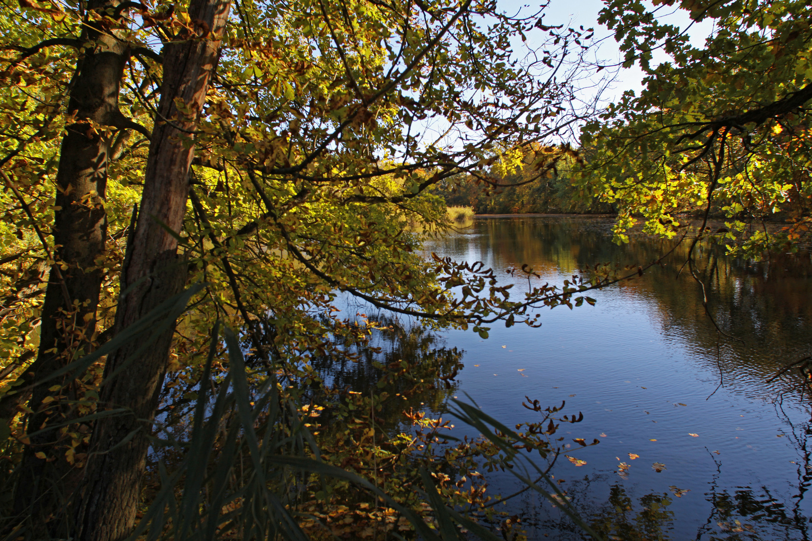 Herbsttag am Lagesteich