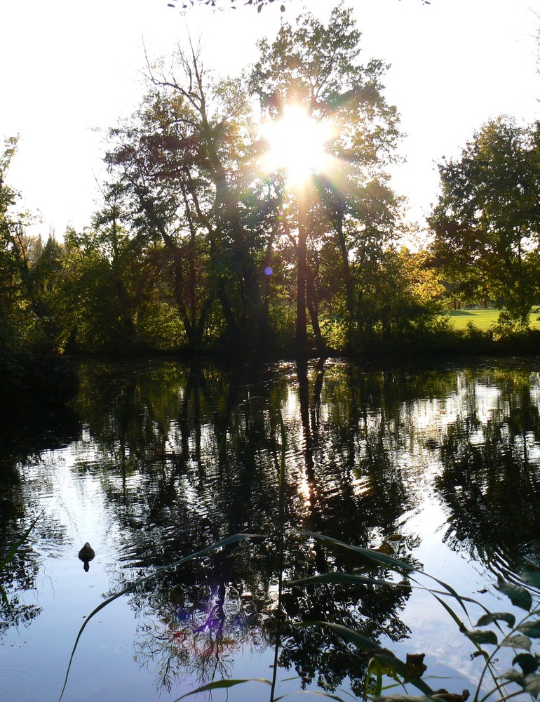 Herbsttag am Monrepos