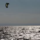 Herbsttag am Neusiedlersee 