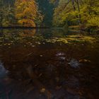 Herbsttag am Rennsteig