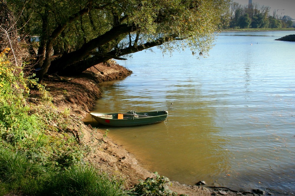 Herbsttag am Rhein