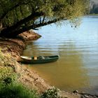 Herbsttag am Rhein