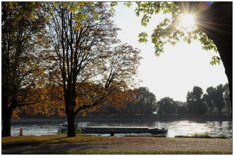 Herbsttag am Rhein bei Mannheim