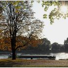 Herbsttag am Rhein bei Mannheim